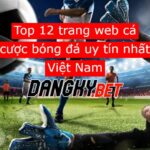 top 12 trang web cá độ bóng đá uy tín tại dangky.bet