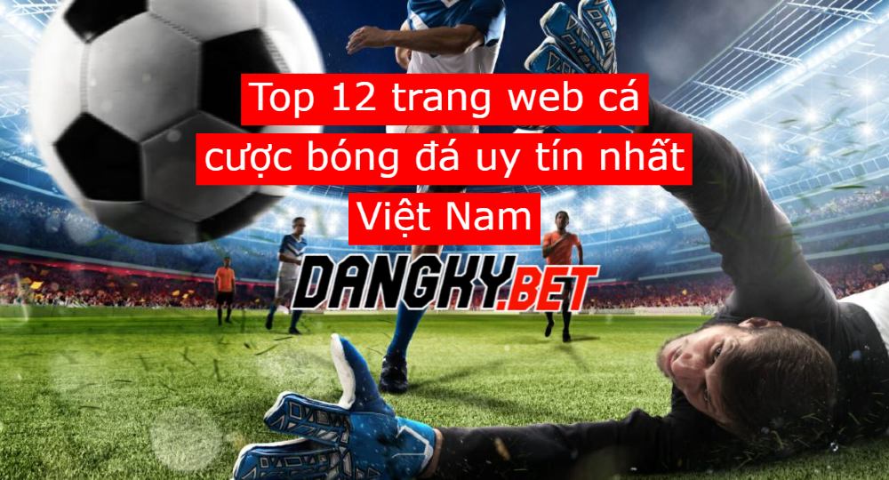 top 12 trang web cá độ bóng đá uy tín tại dangky.bet